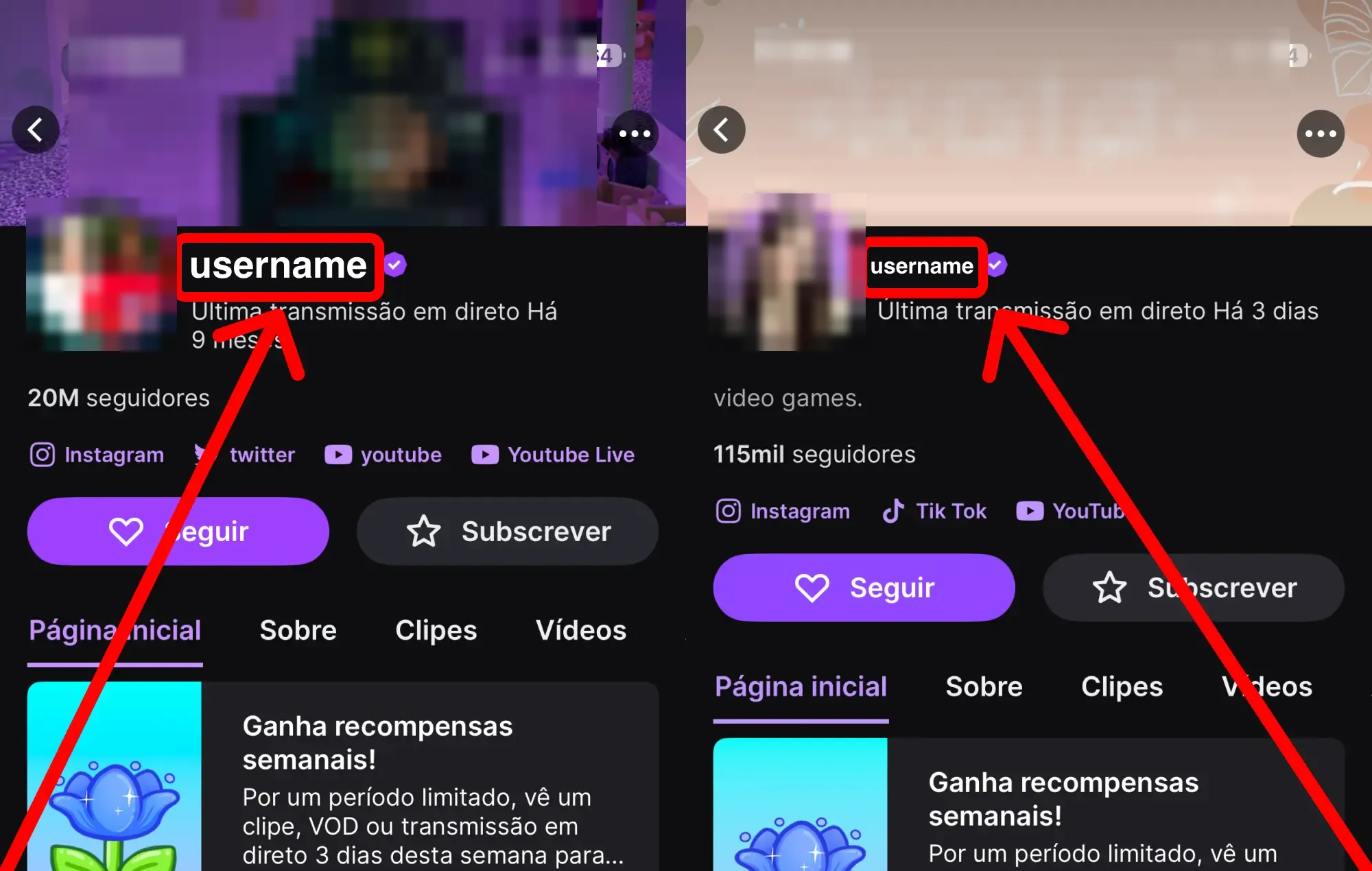 Comprar espectadores em direto da Twitch: guia com capturas de ecrã – onde encontrar o teu nome de utilizador ou o link do teu perfil Twitch